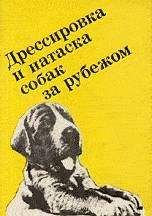 Александр Воронин - Мои собаки