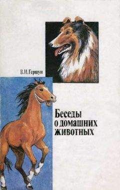 Владимир Круковер - Агрессивность собак и кошек