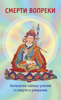 Томас Шор - В шаге от рая. Правдивая история путешествия тибетского ламы в Страну Бессмертия