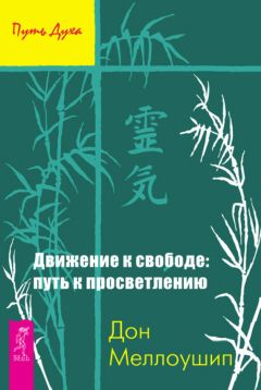 Владимир Жикаренцев - Путь к Cвободе. Взгляд в Cебя