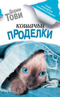 Дорин Тови - Кошачий переполох (сборник)