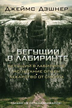 Татьяна Вильданова - Парадокс параллельных прямых. Книга вторая