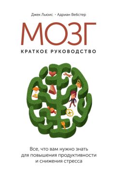 Адриан Вебстер - Мозг: краткое руководство. Все, что вам нужно знать для повышения эффективности и снижения стресса