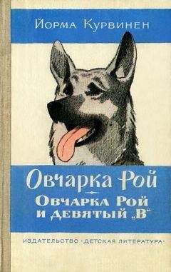 Герман Балуев - ХРОНИКЕР