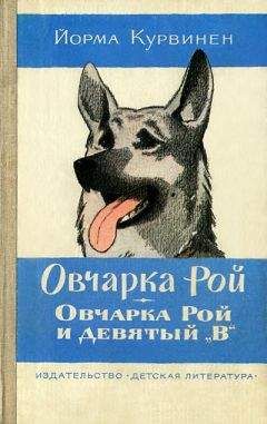 Богумил Ржига - Поездка Гонзика в деревню. О самолетике «Стриже»