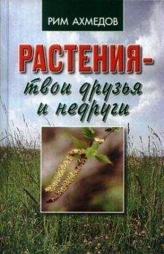 Елена Власенко - Целительные свойства комнатных растений