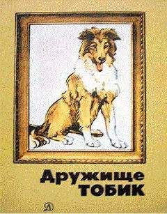 Наталия Грудинина - Чёрная собака Динка