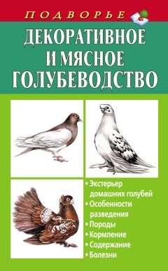 Илья Мельников - Содержание попугаев и уход за ними