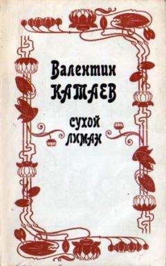 Валентин Катаев - Почти дневник