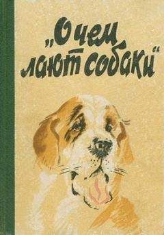 Александр Власенко - Хорошие собаки и этология человека