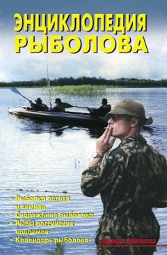 Надежда Бондаренко - Кулинарная энциклопедия. Том 6. Г (Гамбринус – Гранита)