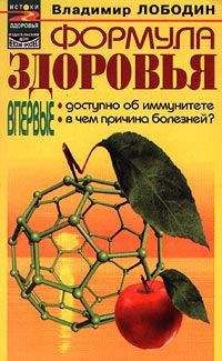 Сергей Розов - Учебник по биоэнергии