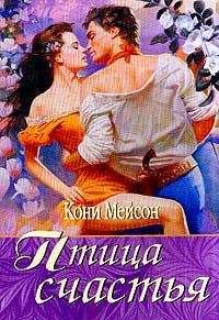 Каролин Лэмпмен - Не упусти радугу