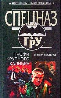 Сергей Зверев - Мастер ликвидаций