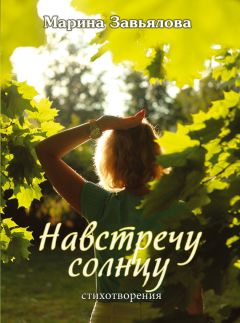 Андрей Лапшин - Первые полеты. Книга стихов