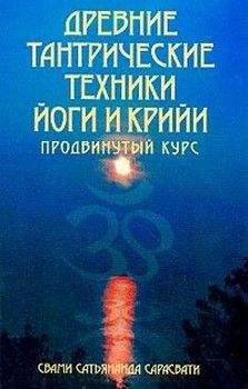 Атма Ананда - Культура сублимации: опыты самодостаточности