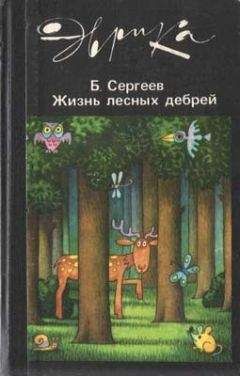 Борис Сергеев - Ступени эволюции интеллекта