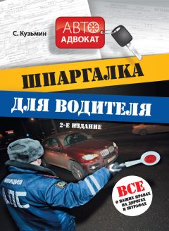 Евгений Шельмин - Как не платить ГИБДД: Штрафы с комментариями и иллюстрациями