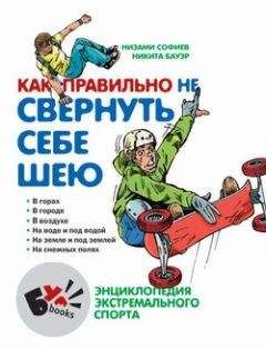 Юрий Лифшиц - Мое проклятие российскому футболу. Записки бывшего болельщика