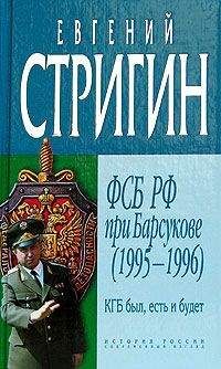 Евгений Стригин - Человек, похожий на генерального прокурора, или Любви все возрасты покорны