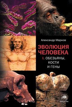 Анна Смирнова - О чем рассказали «говорящие» обезьяны: Способны ли высшие животные оперировать символами?