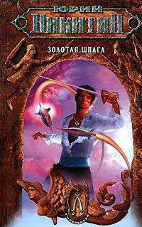 Дмитрий Браславский - Верная шпага короля (книга-игра)