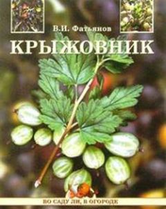 Анастасия Красичкова - Золотая книга приусадебного участка