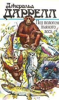 Сергей Огнев - Жизнь леса