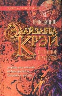Крис Вудинг - Шторм-вор