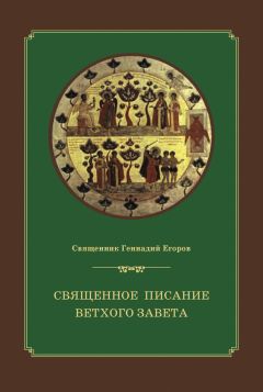 Вероника Андросова - Библия для всех. Курс 30 уроков. Том I. Ветхий Завет