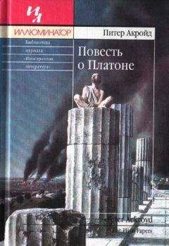 Питер Гитерс - Кот и хозяин. История любви. Продолжение