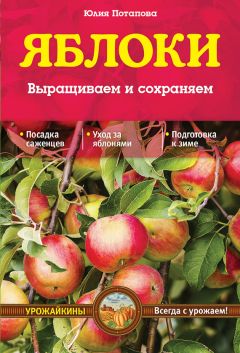 М. Туркина - Необычная кулинария. Весь год пригодится, что на 6 сотках родится