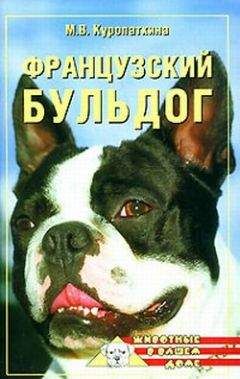 Анатолий Харитонов - Чинька-Чинька