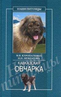 Марина Куропаткина - Декоративные мыши и крысы
