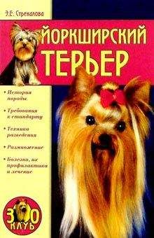 Дмитрий Карпенко - Аквариумистика. Это должен знать каждый