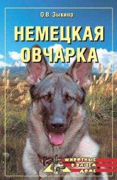 Петр Хлусов - Аквариумы и аквариумные рыбки. Опыт успешного содержания и разведения в домашних условиях