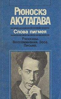 Федор Достоевский - Что есть Россия? Дневники писателя