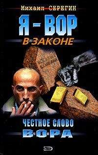 Михаил Серегин - Воровской порядок