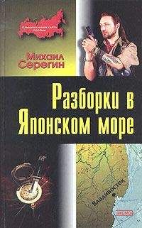 Михаил Серегин - Тайна черного ящика