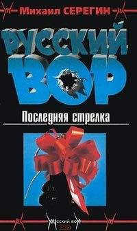 Михаил Серегин - Подарок девушки по вызову