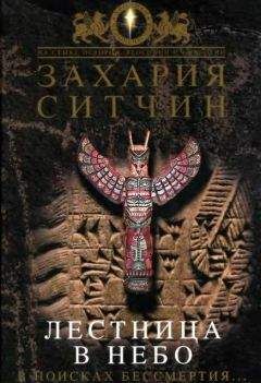 Захария Ситчин - Лестница в небо. В поисках бессмертия