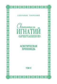 Святитель Игнатий Брянчанинов - Избранные письма