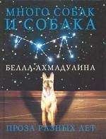 Марина Цветаева - Проза (сборник)