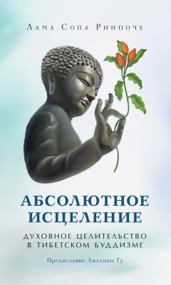 Цокньи Ринпоче - Открытое сердце. Открытый ум. Пробуждение силы сущностной любви