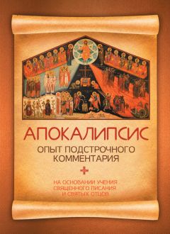 П. Бородин - Апокалипсис. Опыт подстрочного комментария. На основании учения Священного Писания и святых отцов