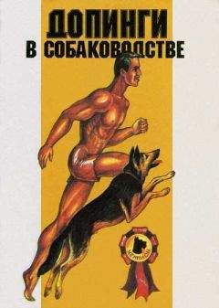 Дэвид Хьюбел - Глаз, мозг, зрение