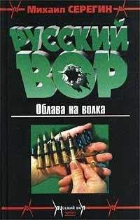 Михаил Рогожин - Мой нежный убийца