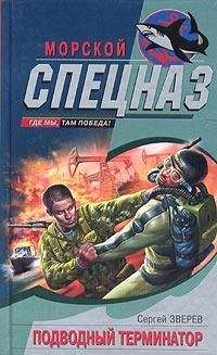 Виктор Степанычев - Терминатор из глубинки