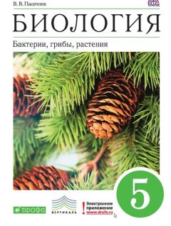 Владимир Пасечник - Биология. Бактерии, грибы, растения. 5 класс