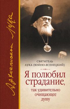 Борис Споров - Воин Христов. Святитель Лука (Войно-Ясенецкий)